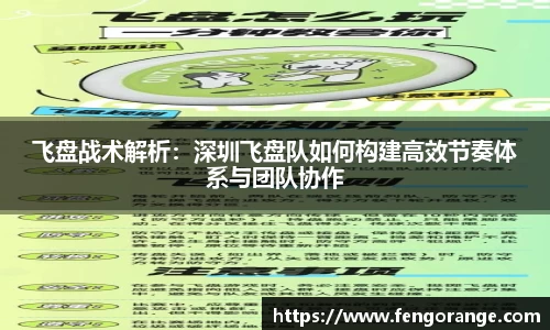 333体育app
