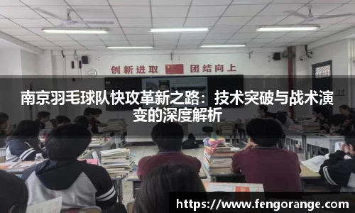 333体育官网