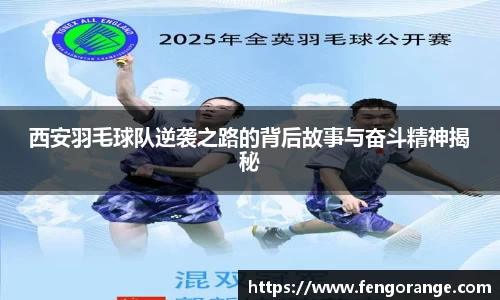 333体育平台