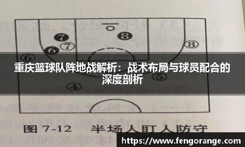 333体育
