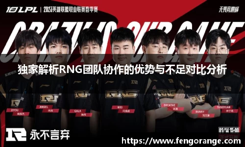 独家解析RNG团队协作的优势与不足对比分析