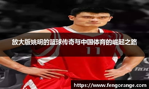 333体育官网
