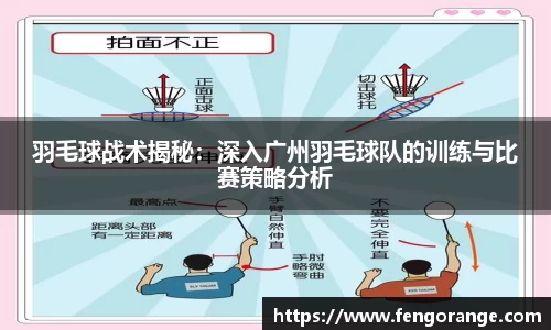 333体育官网