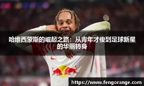 333体育官网