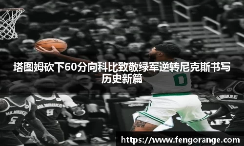 333体育官网