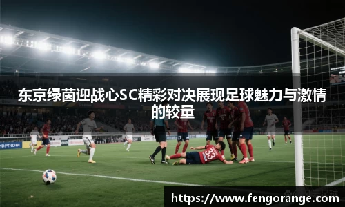 333体育官网