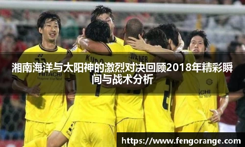 333体育官网