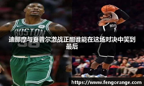 333体育官网