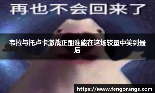 333体育平台