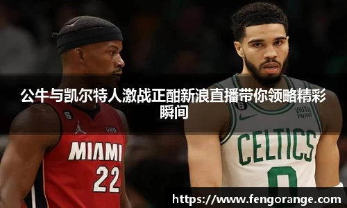 公牛与凯尔特人激战正酣新浪直播带你领略精彩瞬间