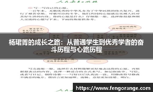 333体育平台